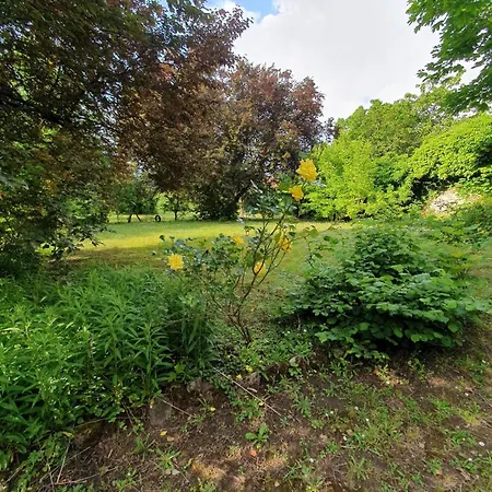 Les Demeures Du Parc, La Paroisse, Proche Des Thermes 度假居 Bourbon-lʼArchambault