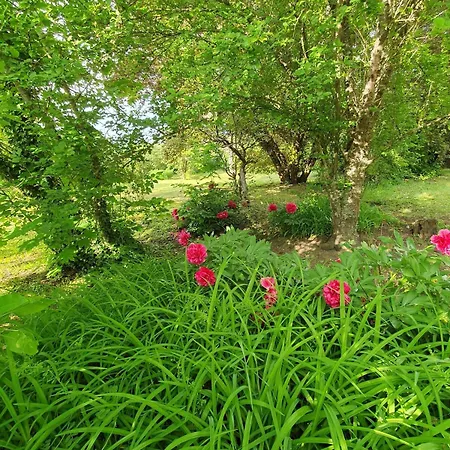 Les Demeures Du Parc, La Paroisse, Proche Des Thermes * Bourbon-lʼArchambault